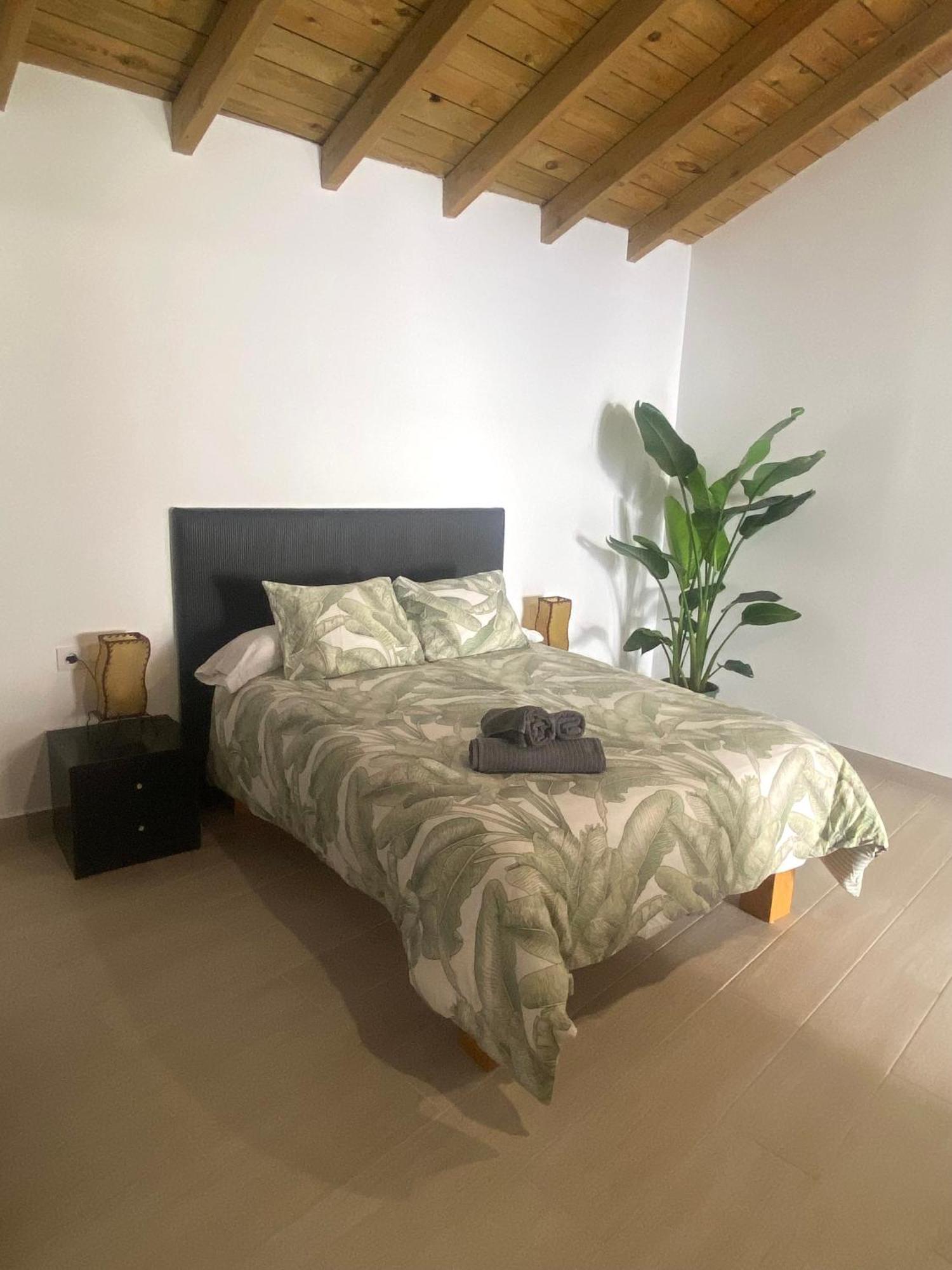 Apartamentos Algodonales Extérieur photo